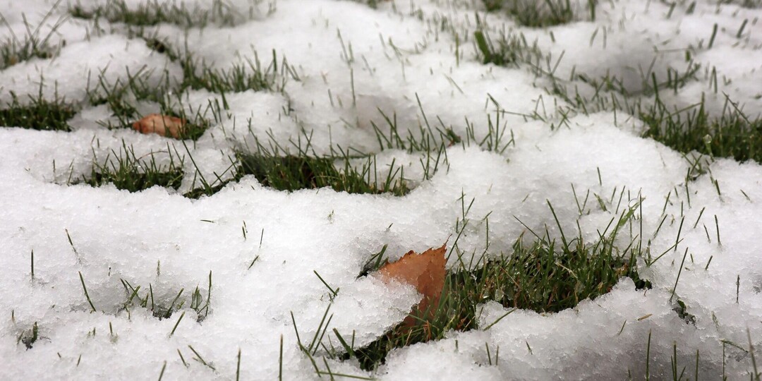 Мокрый снег и дожди обрушатся на Карелию