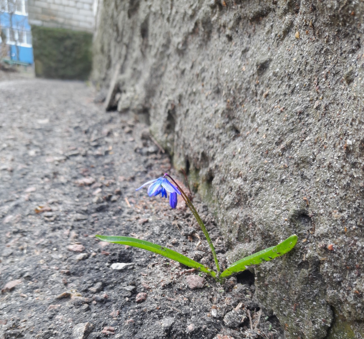 Как ты сюда попал?