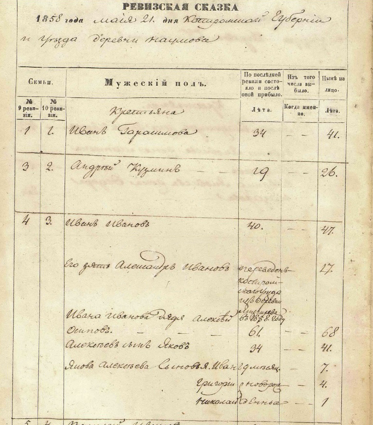 Страичка их 10-й ревизии по деревне Наумово Костромского уезда Костромской губернии