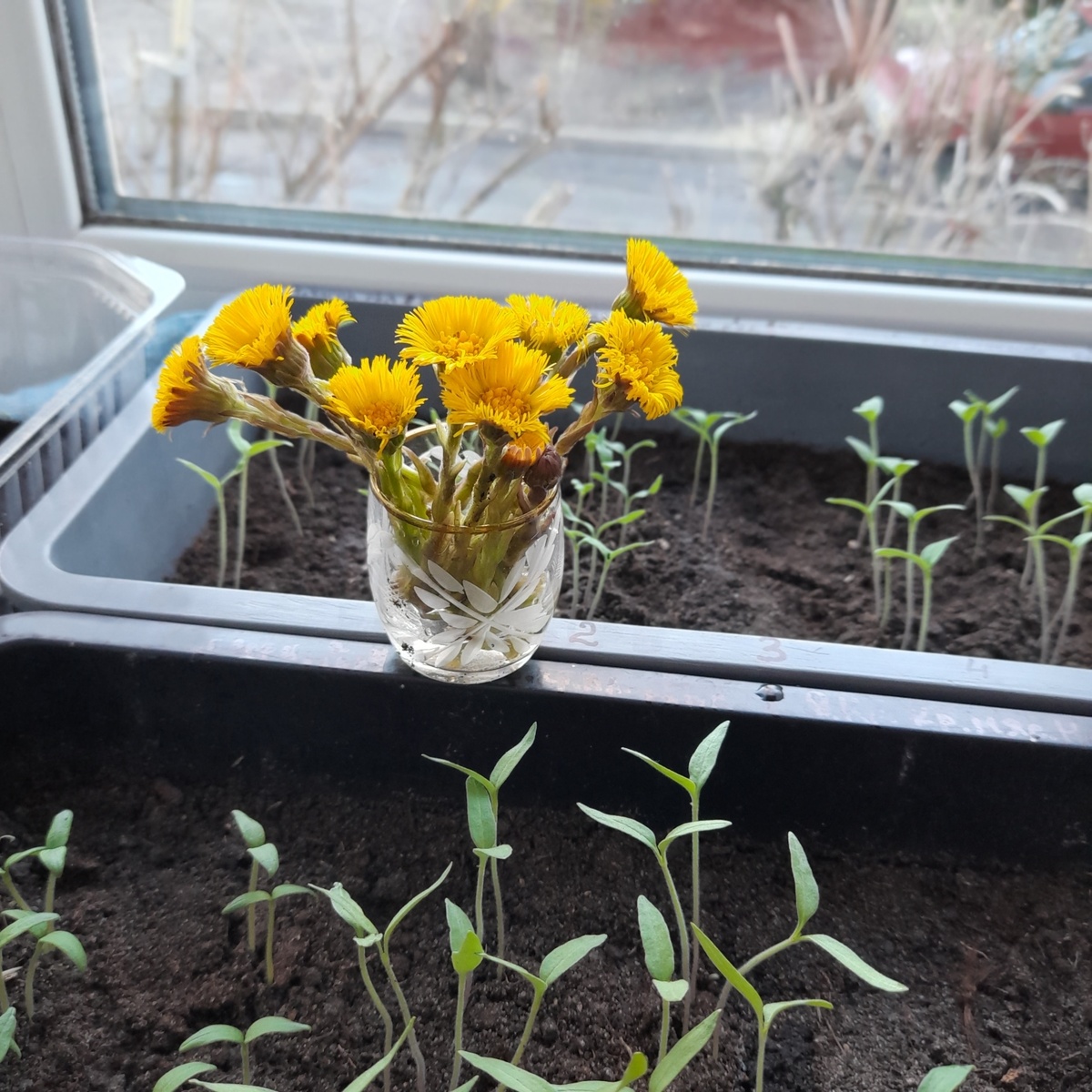 Вот теперь всё будет хорошо!