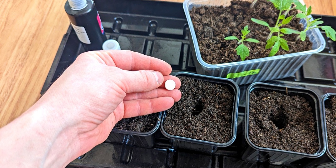 При любых пересадках рассады добавляю в лунку 1 такую таблетку. Приживаемость и качество рассады улучшается в разы.