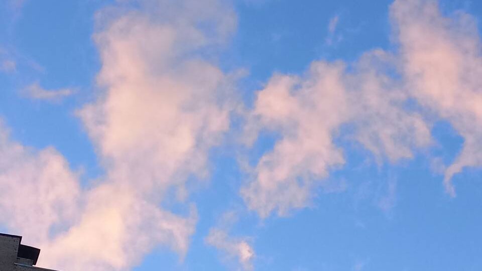 В очередной раз весна победила! 🌸🌱 Будете скучать по зиме