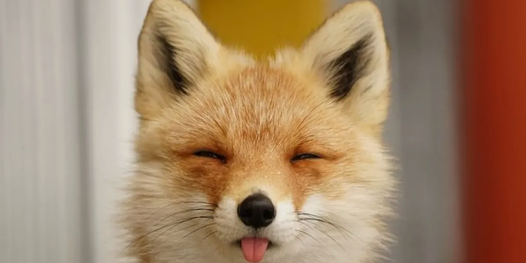 Где заканчивается трезвость и начинается злорадство?