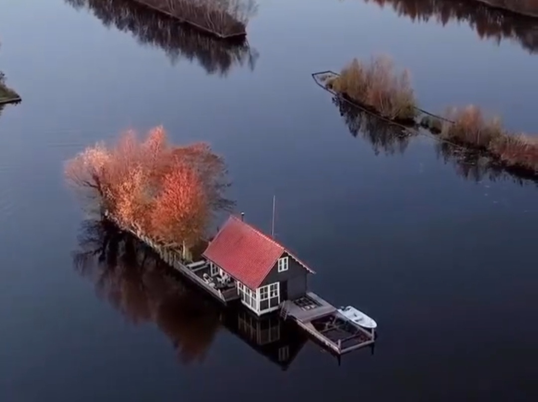 Скрин из видео