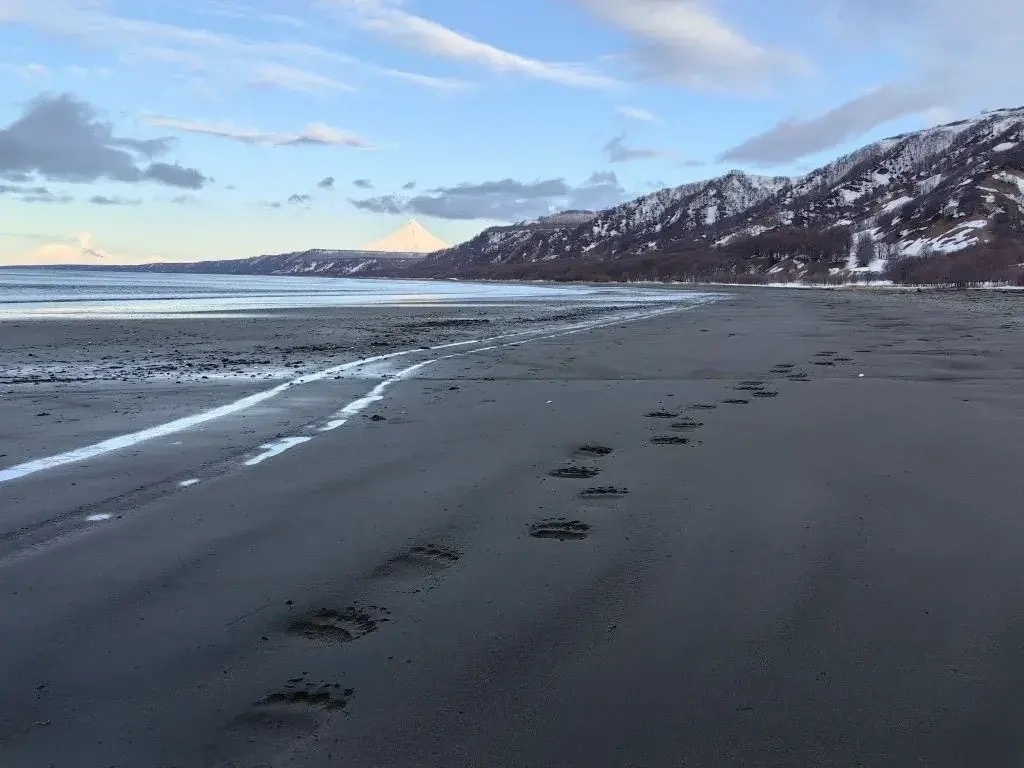 Фото Дмитрий Балакирев / Кроноцкий заповедник