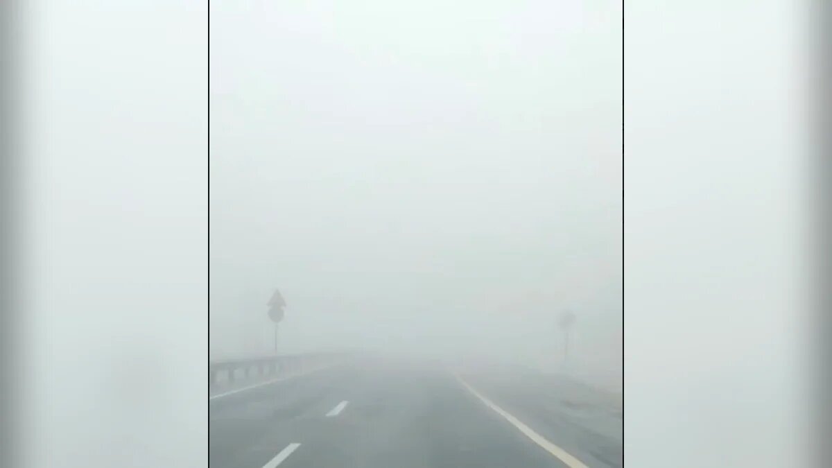    Фото t.me/gibdd_nvrsk