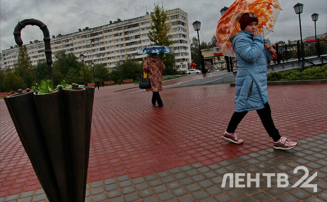    © Анастасия Илюшина / ЛенТВ24. Архивное фото