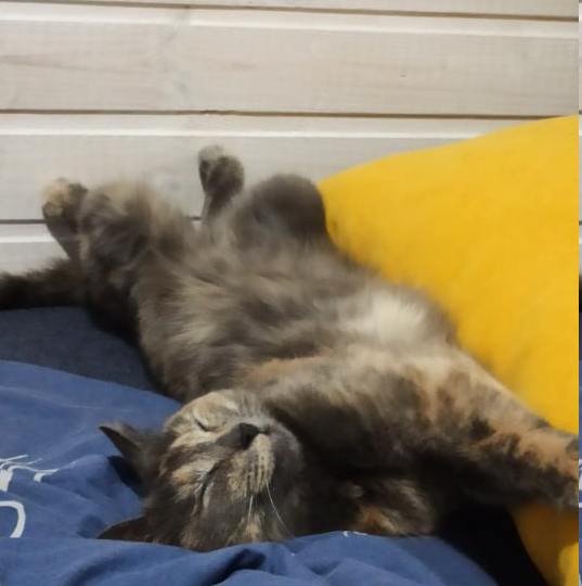 Проблемы с компом :(