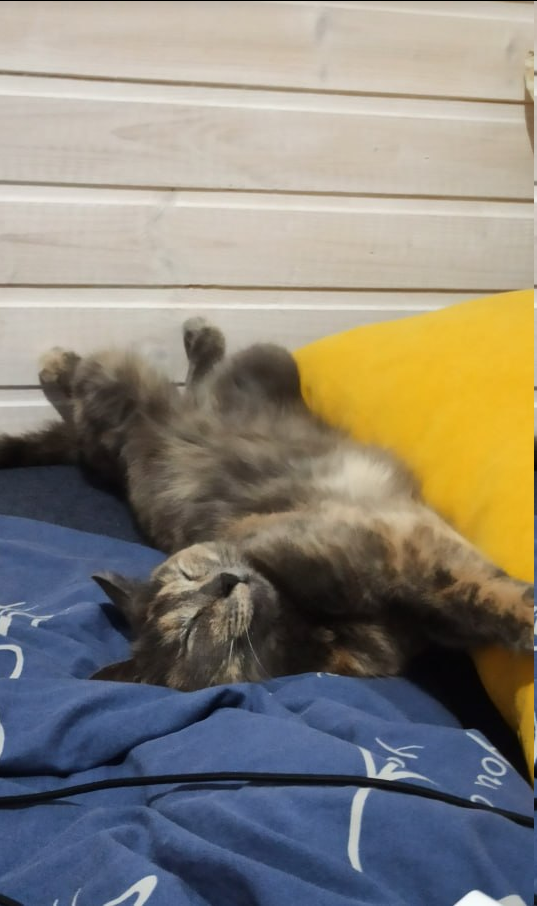 Личное фото