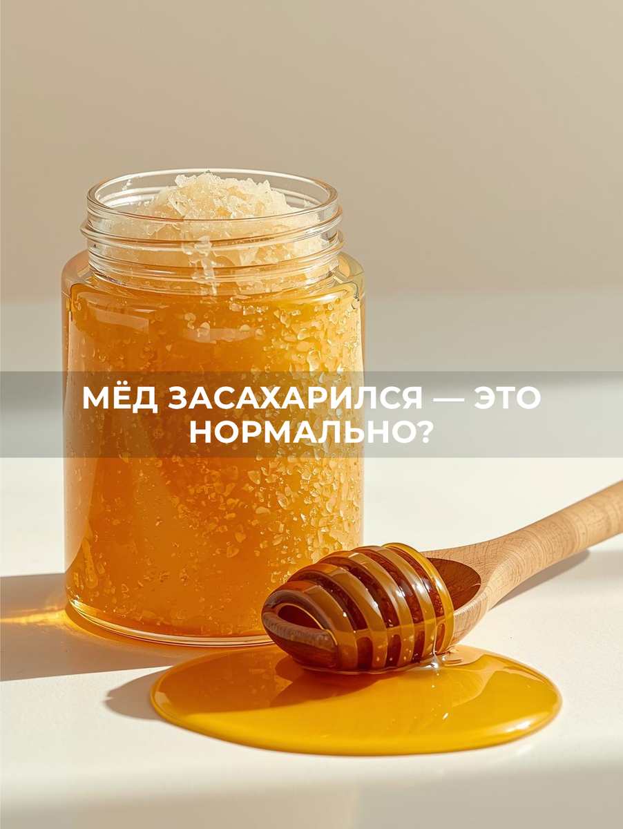 Алтайский мед, мед засахарился, мед, мёд 