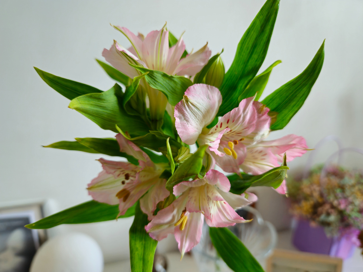 Фото: Марина Н. Макарова, Омск, 4апр26. 