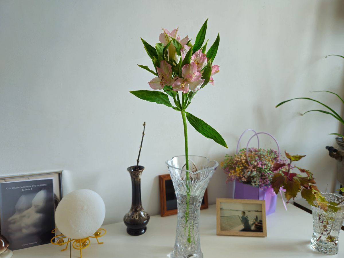 Фото: Марина Н. Макарова, Омск, 4апр26. 