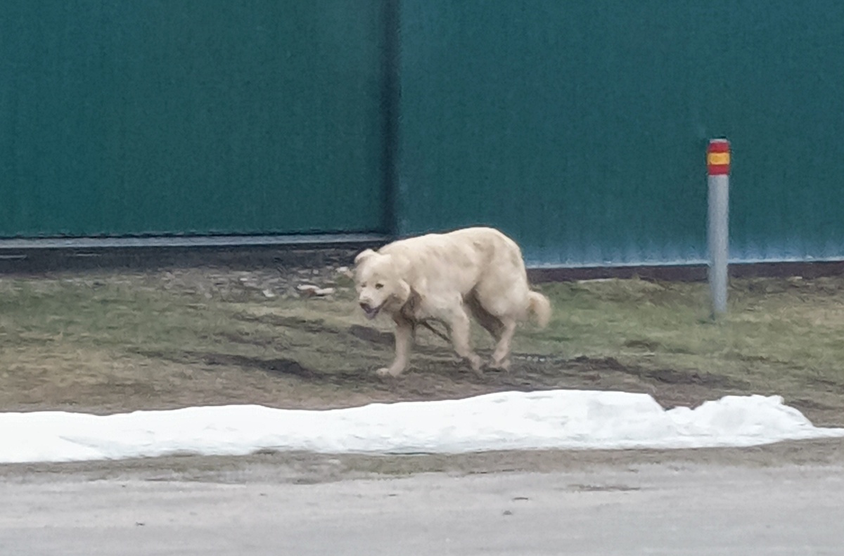 Фото автора статьи