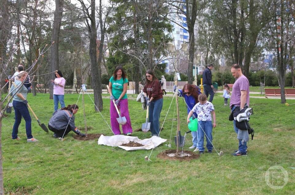    фото: Матвей Горбунов / "Городские вести"