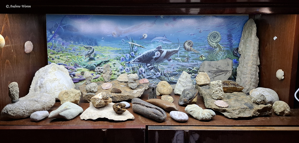 Очередная полка с коллекционными образцами