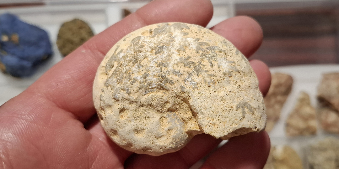 Древности нашей земли. Часть 74-я. Подарки из Крыма