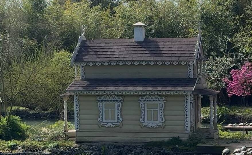 Лебединый домик и черепахи