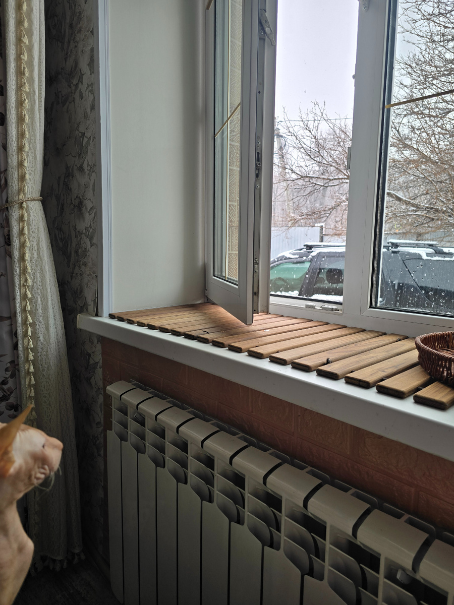 Винтик на всякий случай издалека наблюдает, ему от одного вида холодно:)