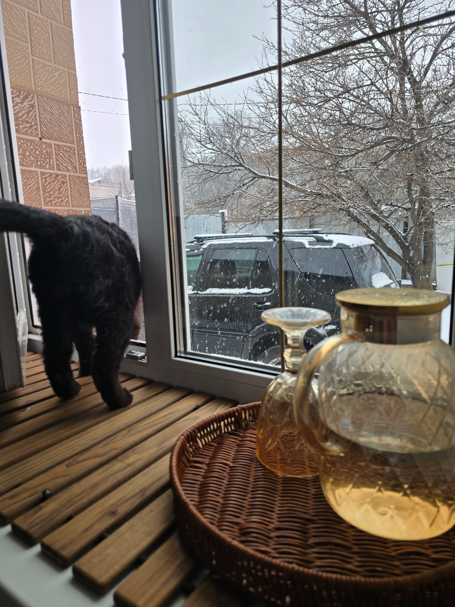 И только Сема мужественно понес свои кокушки на мороз