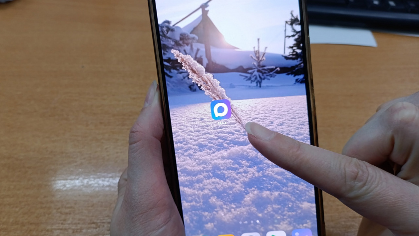    Фото: progorod43.ru