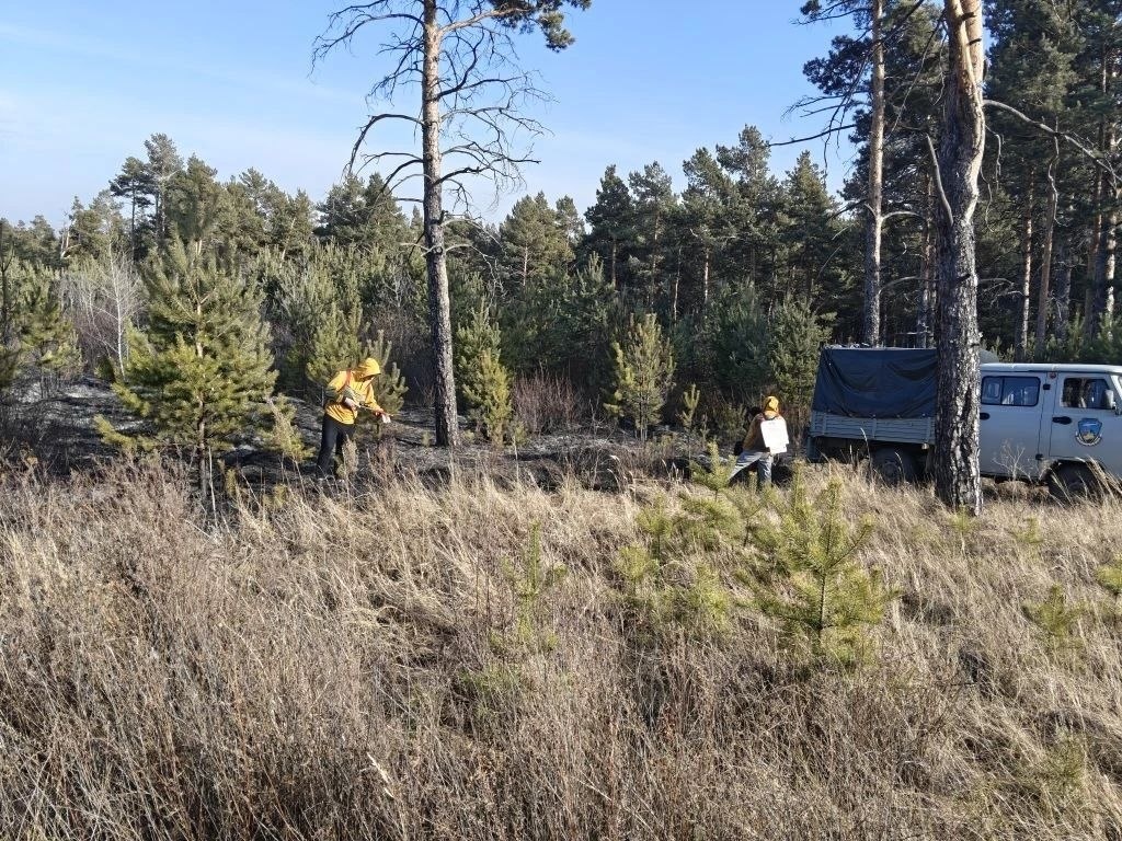     Первый в 2026 году лесной пожар потушили на юге Красноярского края