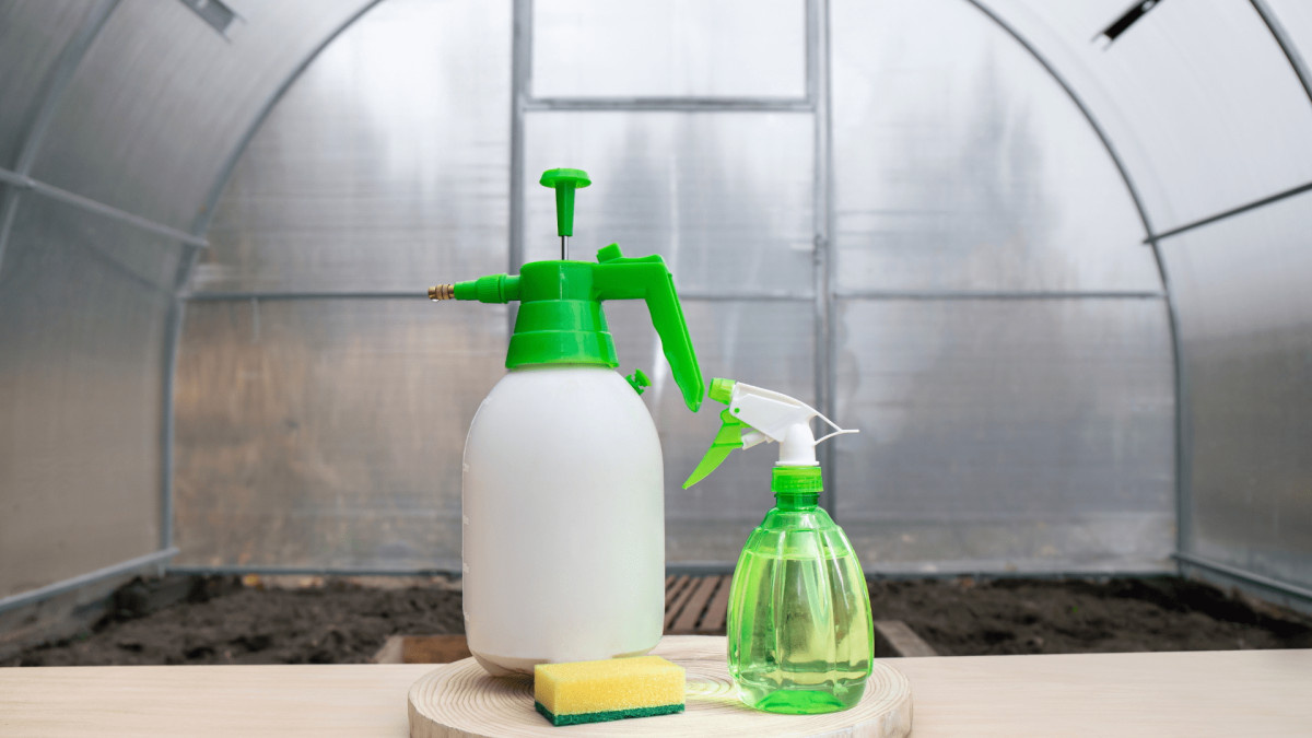 обработка теплицы перед посадкой обязательна