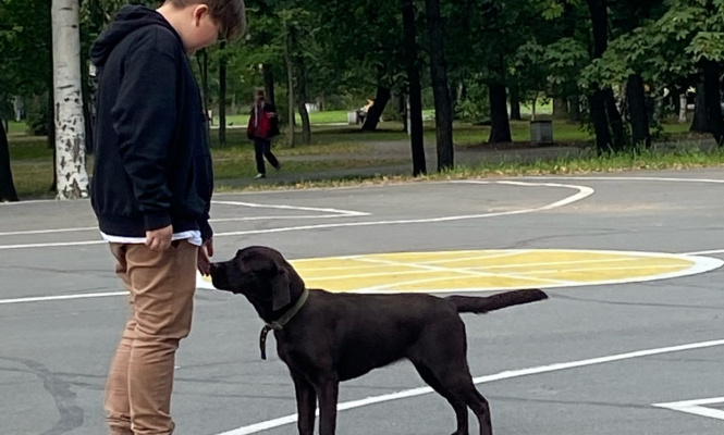    фото: фото: Мария Голубева