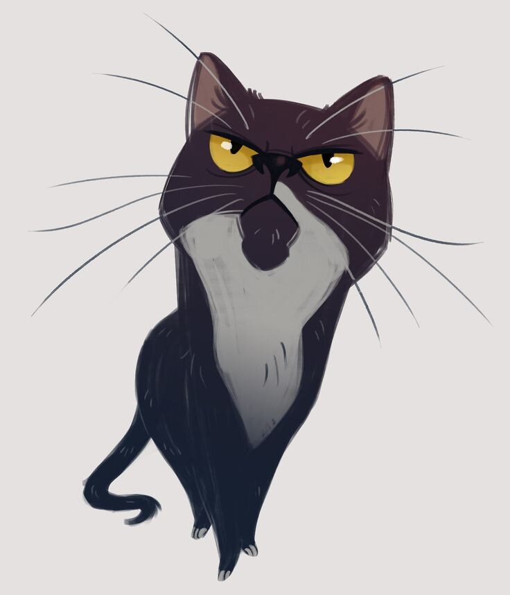 Изображение из интернета