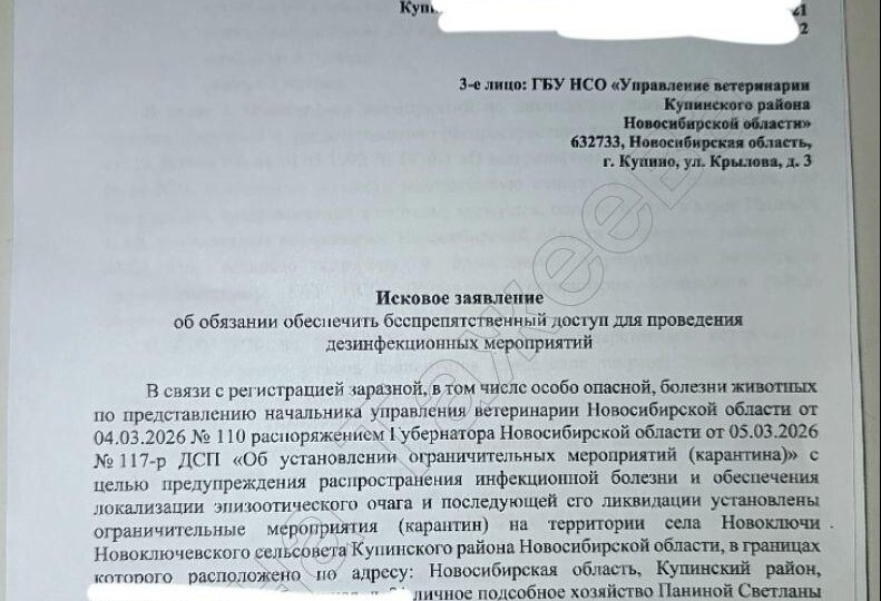 Управление ветеринарии подает в суд на жительницу Новосибирской области, у которой изъяли и уничтожили весь скот