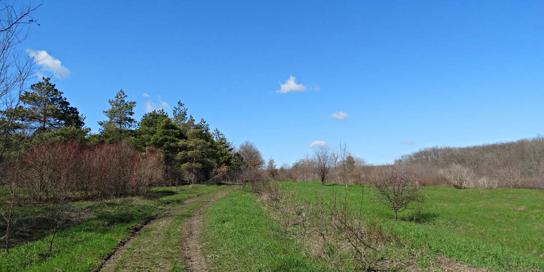 Десять лет назад. Часть 109-я. Первая прогулка в Щепку в 2016 г.