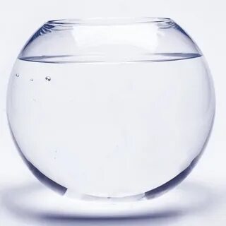 Новый аквариум перед запуском рыб: дайте среде сформироваться