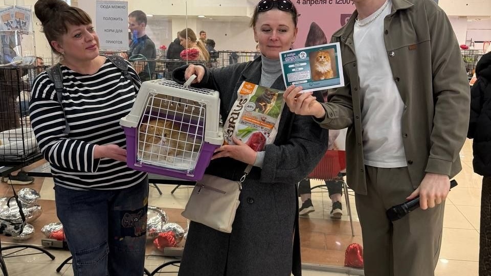 #найдидруга_4апреля и первые счастливчики, которые нашли дом