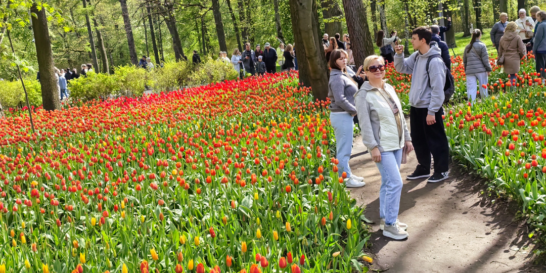 3 года на Дзене. Это много или мало? Сколько я заработала