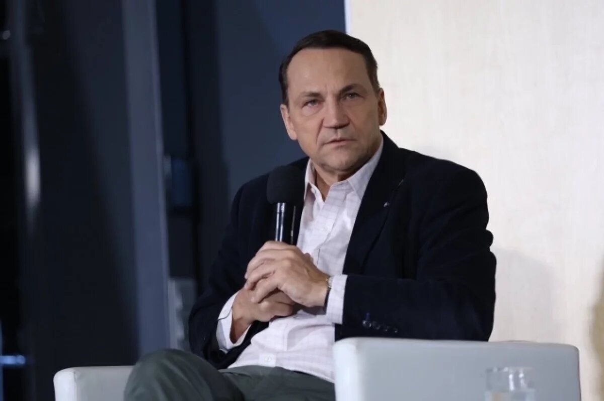    Сикорский: Украина не приняла все законы, необходимые для вступления в ЕС