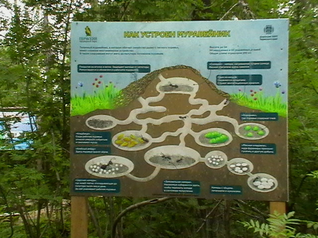 Вот такие познавательные плакаты перед главным входом