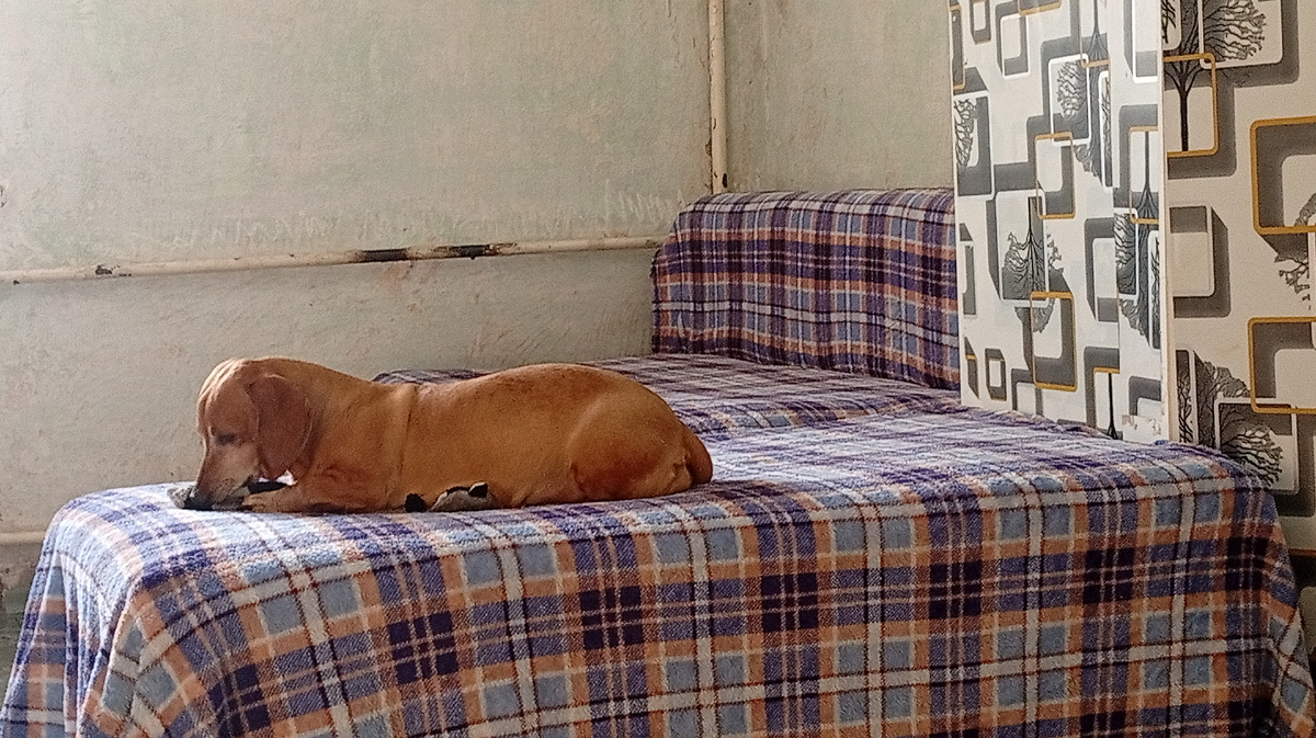 Леди игрушкой занята. 