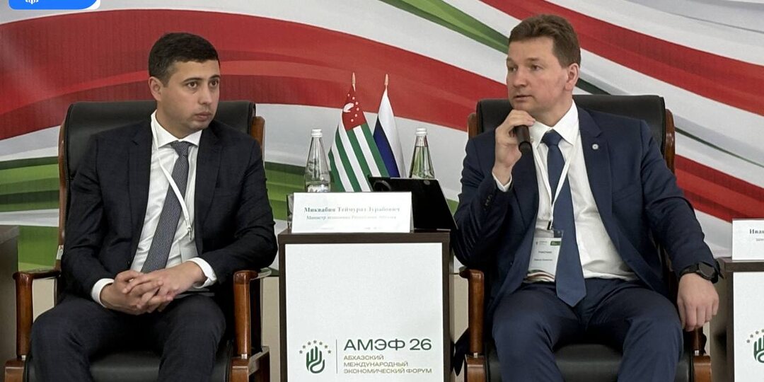 Поезда, самолёты и «Комета»: Россия и Абхазия наращивают пассажирские перевозки по всем видам транспорта