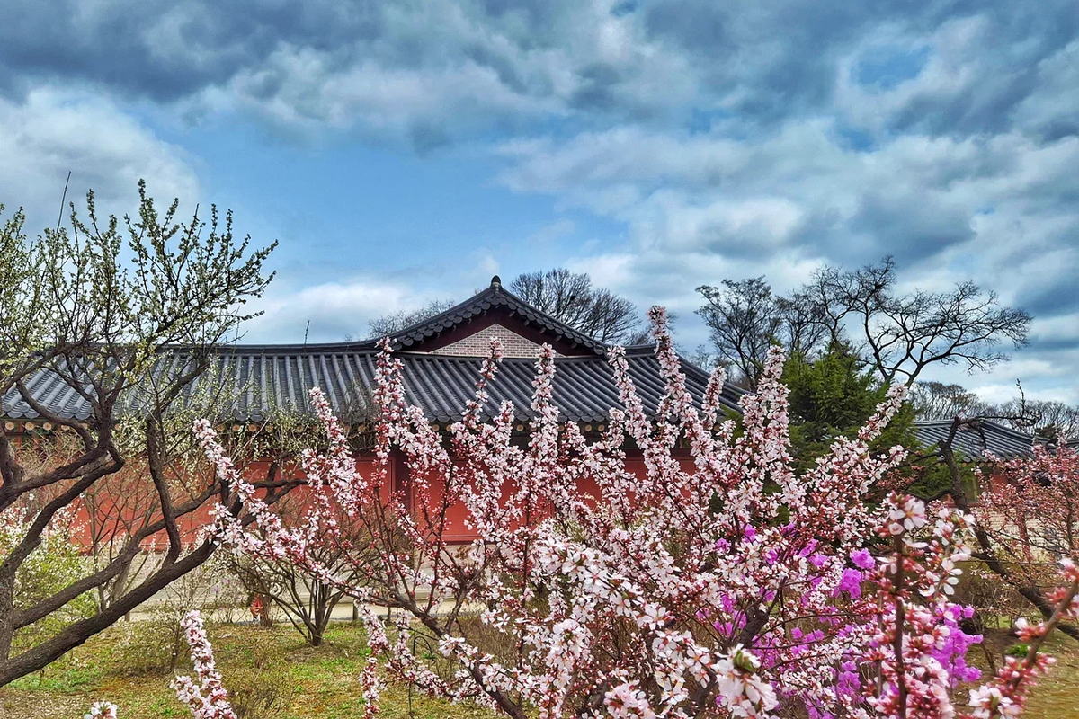 Дворец Чхандоккун. Сеул. Фото моей дочери