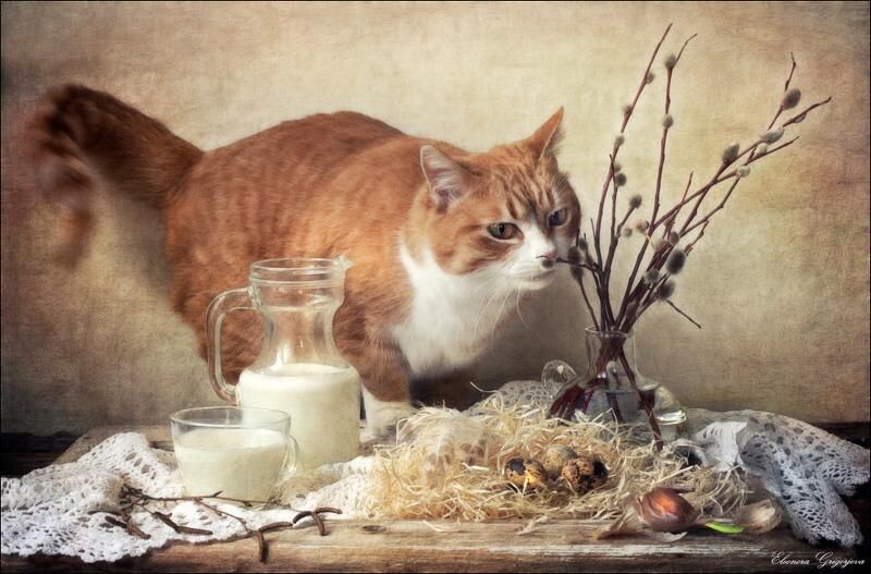 автор фото - Элеонора Григорьева