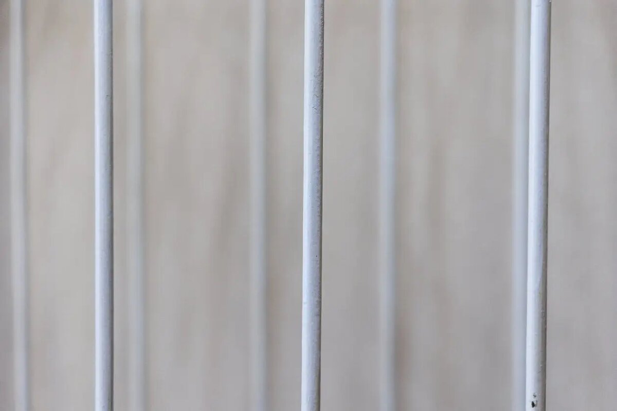    Источник: primamedia.ru/ Алла