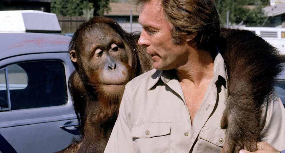 Как снимают животных в Голливуде: изнанка работы дрессировщика диких животных