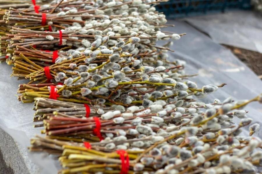 Фото: из открытых интернет-источников 