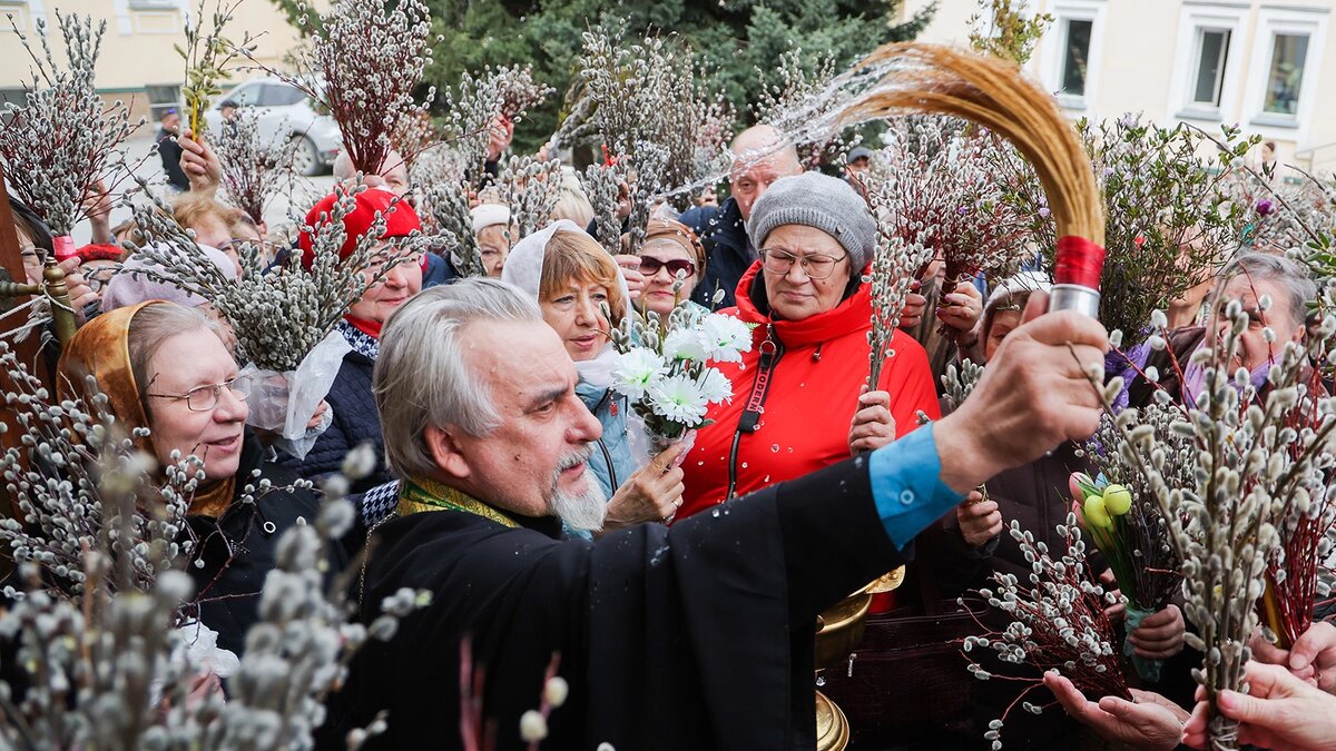 Фото: из открытых интернет-источников