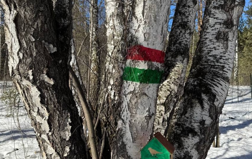 В красноярском экопарке «Юдинская долина» открыли три новых маршрута