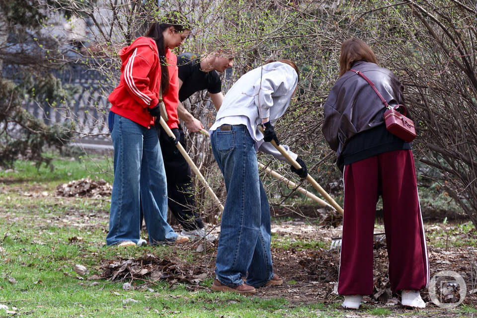    фото: Дмитрий Рогулин / "Городские вести"