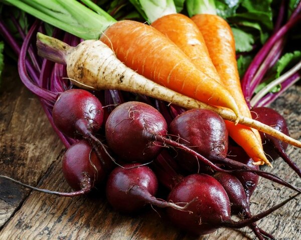    Фото: Агроинвестор