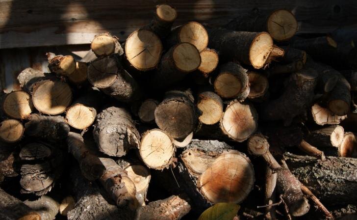    фото Курские известия