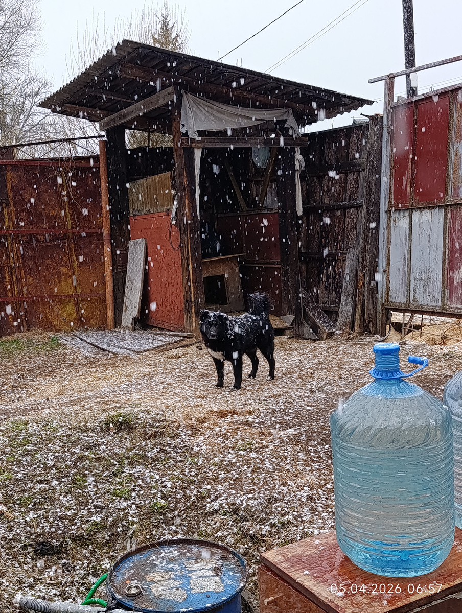 Майка и апрельский снегопад на Вербное Воскресение)