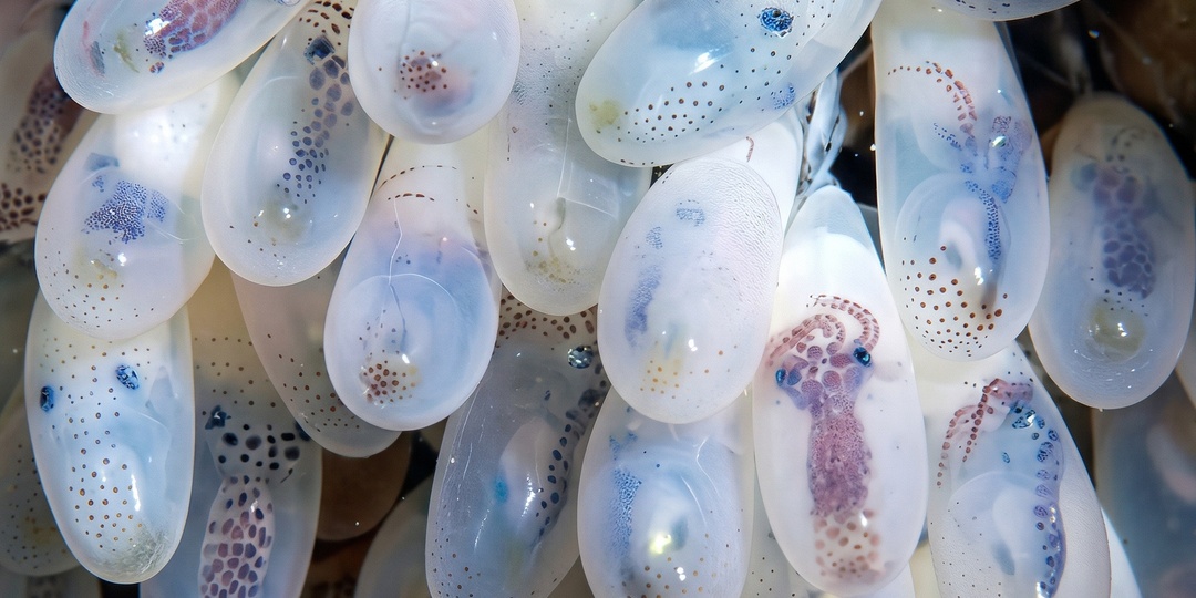 Самый странный детский сад: здесь мать обречена с самого начала