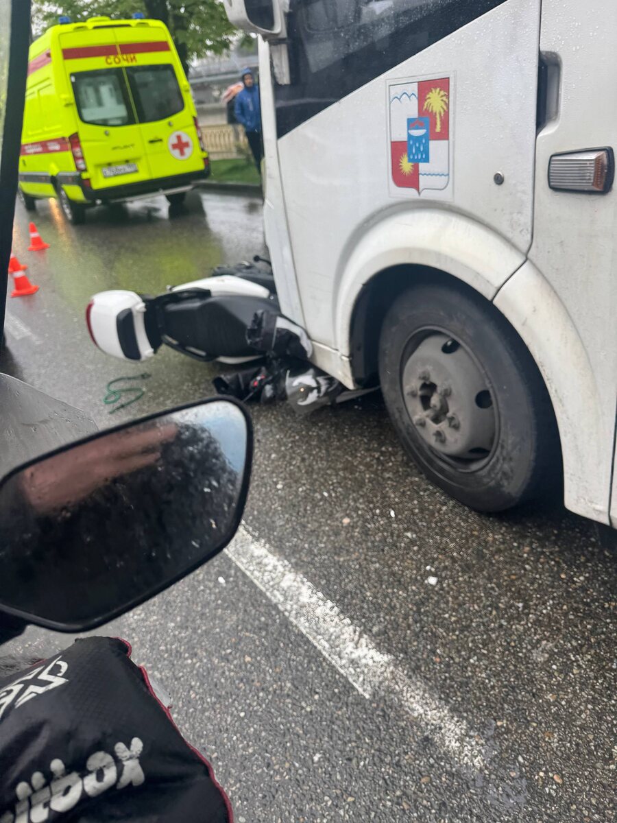    Фото: Telegram/ЧП Сочи